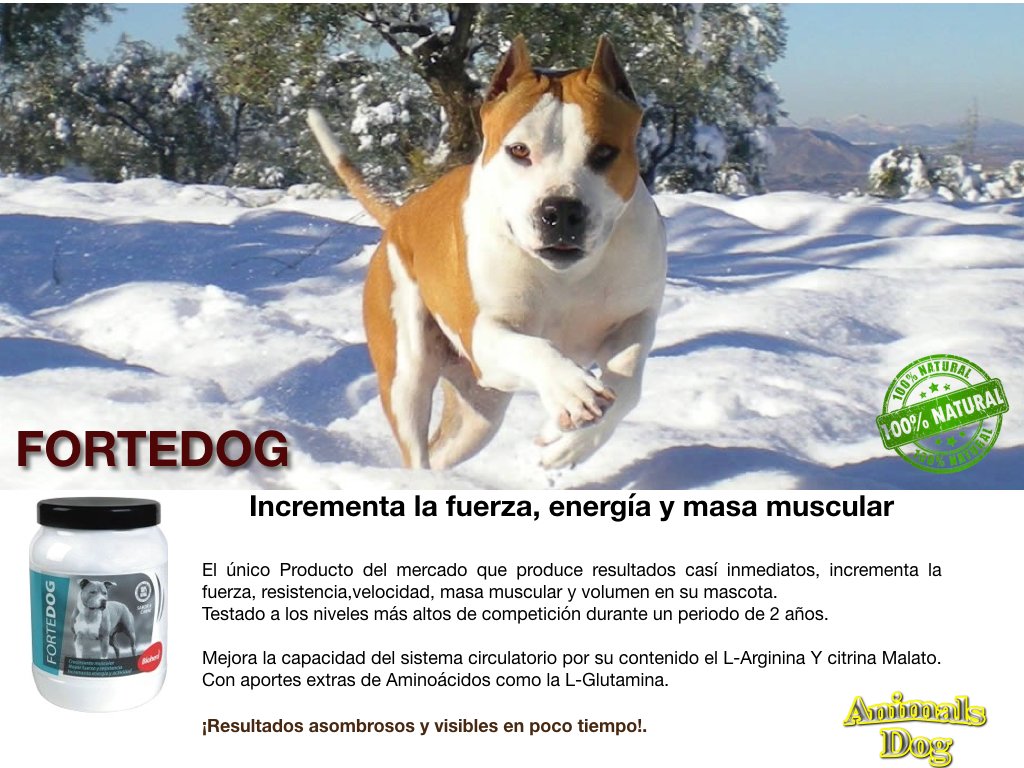 AnimalsdogSl's tweet image. 