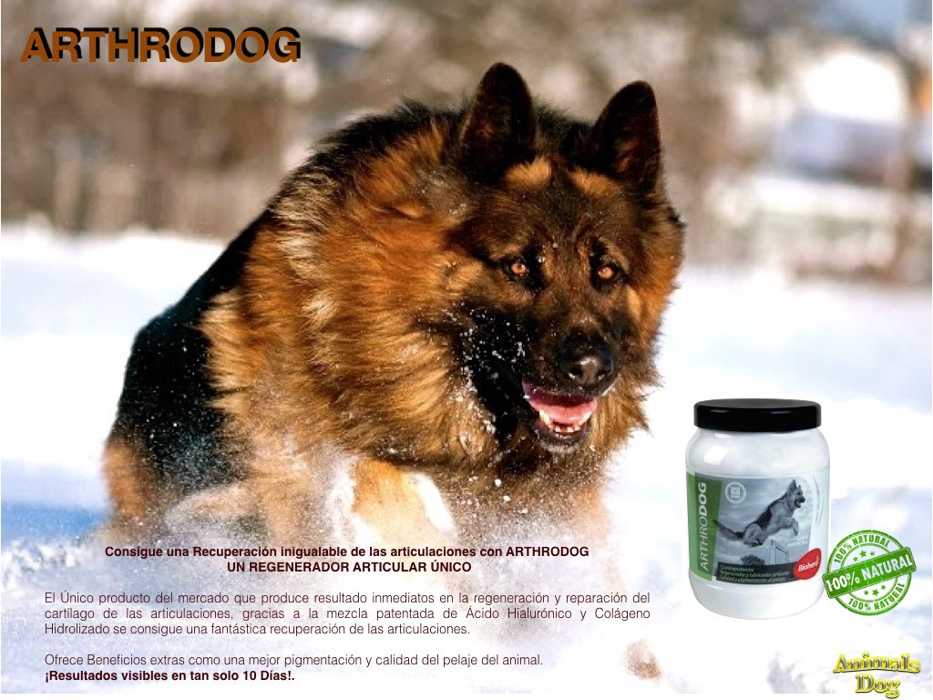 AnimalsdogSl's tweet image. 