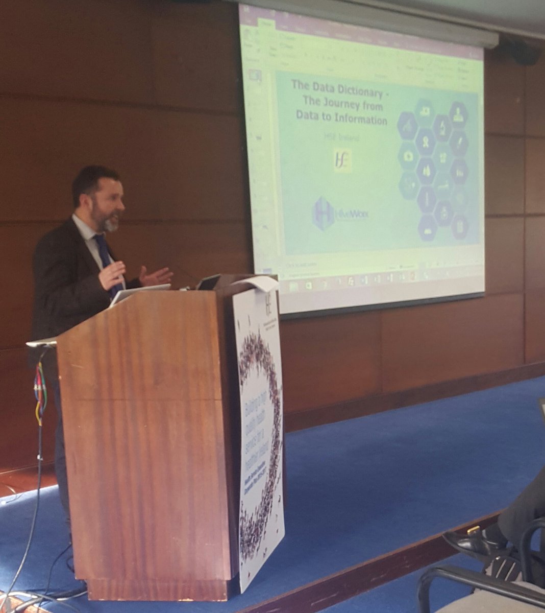 Lorcan Neary from HiveWorx detailing what's behind the data dictionary #datadictionary #ehealthireland