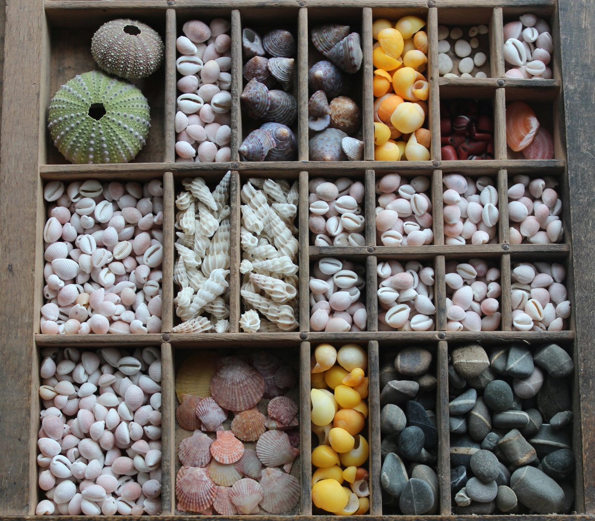 ooh, proper #Scilly booty