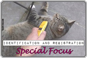 CAROcat2's tweet photo. #IRFocus:calling for a mandatory #EU-wide I&R system for #cats #dogs https://t.co/rXAuxvrmXs https://t.co/HxJjyKD3X8