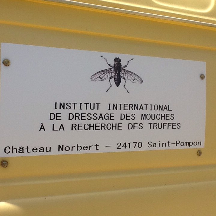 Op norbertkoreman.blogspot.com
Mijn nieuwe instituut