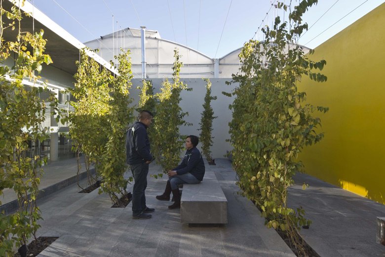 Lettuce introduce AR Work's Highly Commended: Manuel C. Céspedes’ hydroponic office bit.ly/1nCzgGq