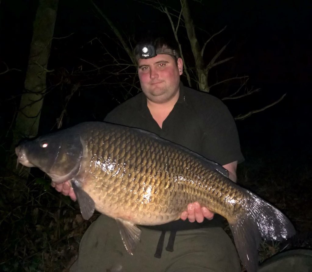 Richworth1's tweet photo. Field tester James bunker with a 28lb 4oz common on an s-core pop-up over a bed of the classic KG1 https://t.co/Vvb9qLMWmX
