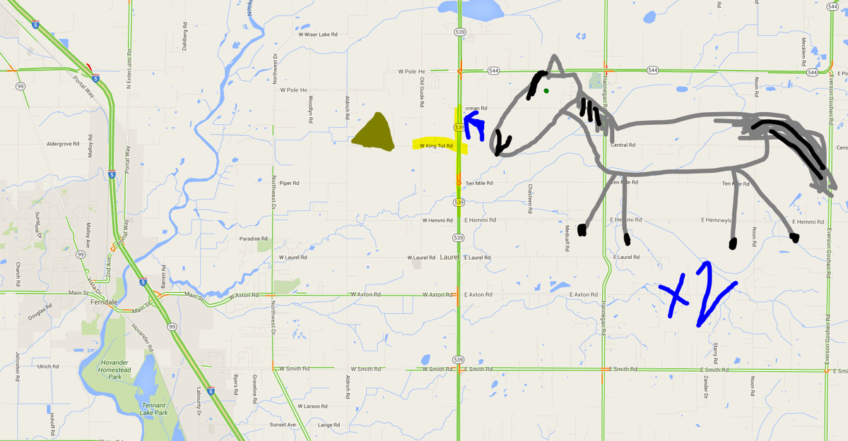 wsdot_traffic's tweet image. Got a report of a couple of horses in the road on SR 539 just north of King Tut Road.