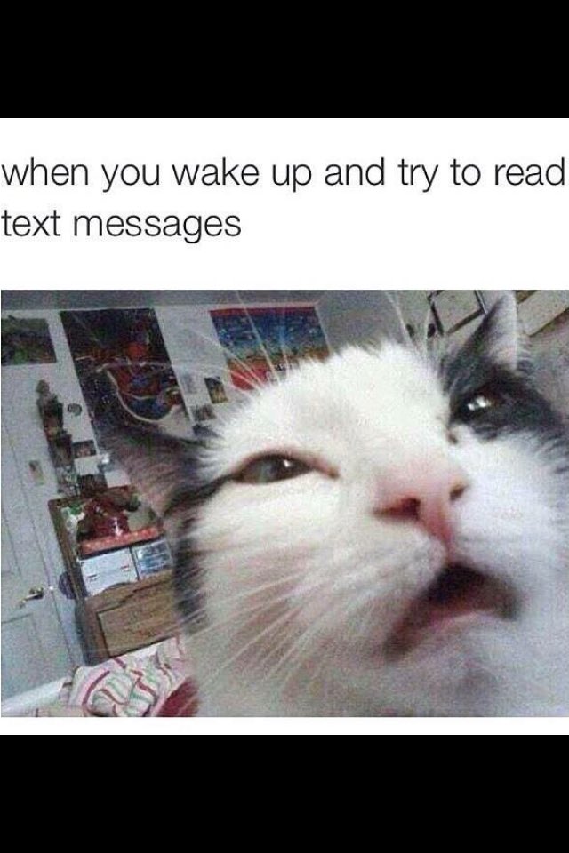 sconaJr's tweet image. 