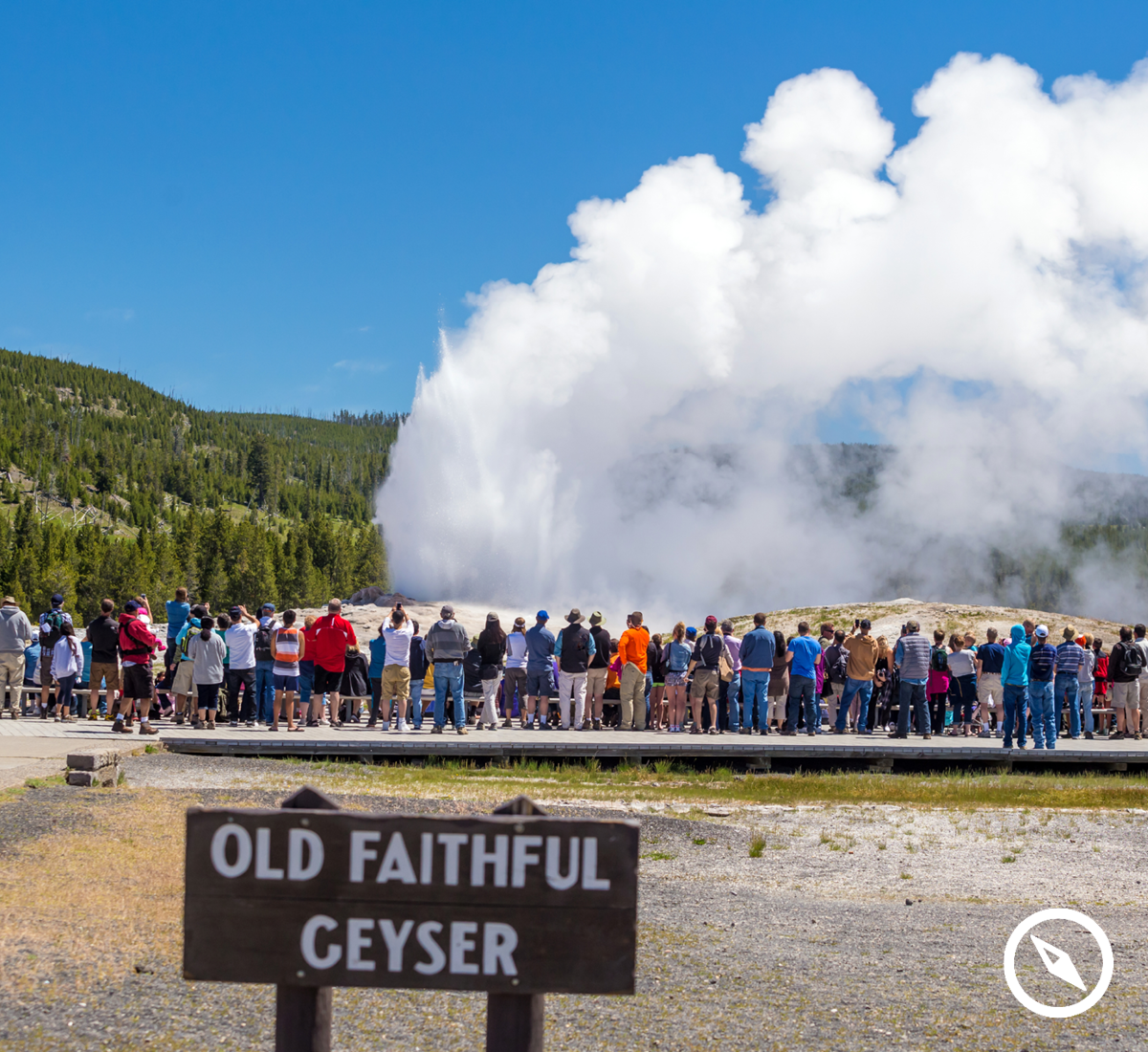 GoFindDiscover's tweet image. If you guessed Old Faithful Geyser in our Guess the Location, you're correct! It was the 1st to get a name in 1870!