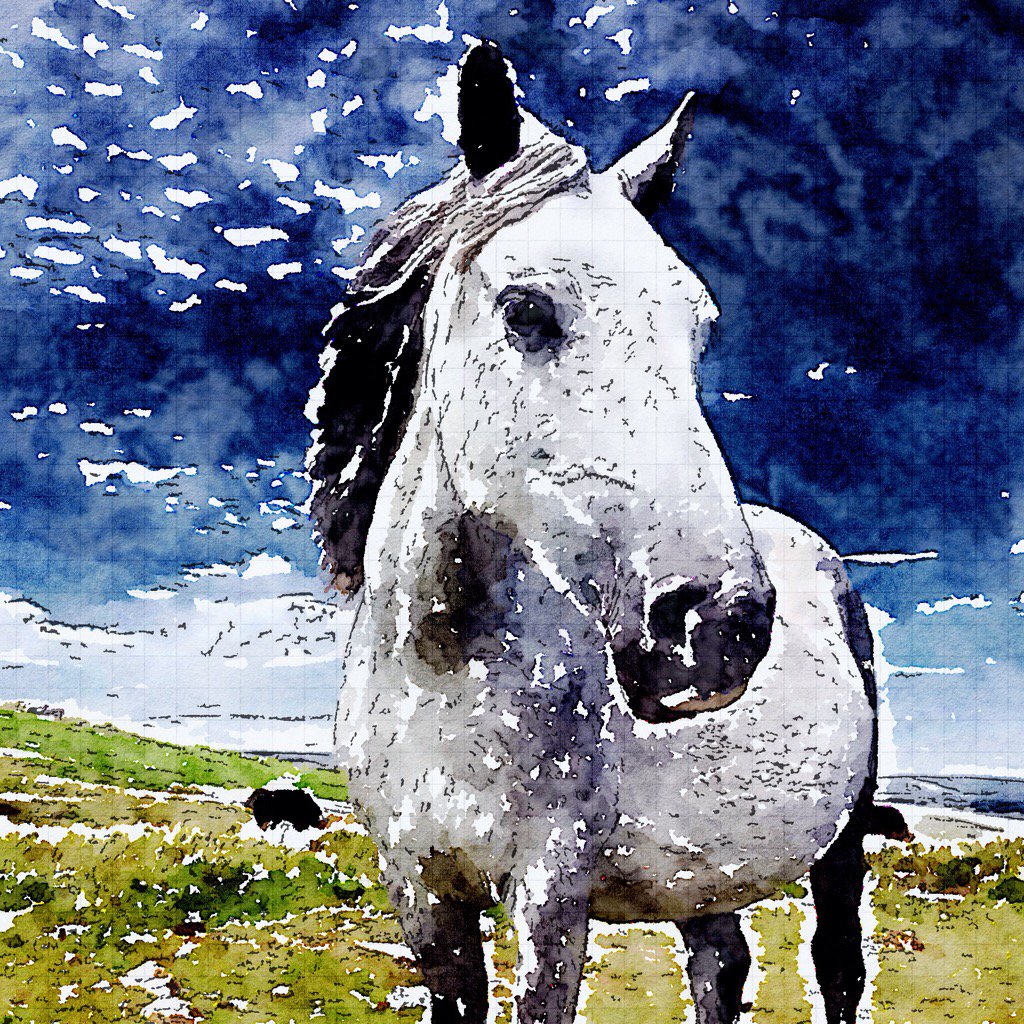 MoreDudley's tweet photo. #Dartmoor Ponies
@Dartmoor_Hour @DevonLife
#CorndonTor #NutCrackers #LaughterTor #BagTor https://t.co/oaUVVjIcLg