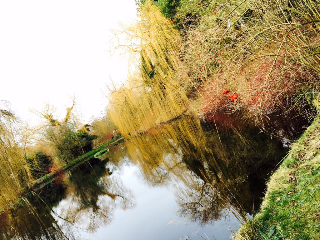 EllenMaryGarden's tweet photo. Catch @MustardTV tonight to see my visit to the enchanting @GooderstoneWGdn in Norfolk #gardens #norfolk #localtv https://t.co/sQbuMdqi71