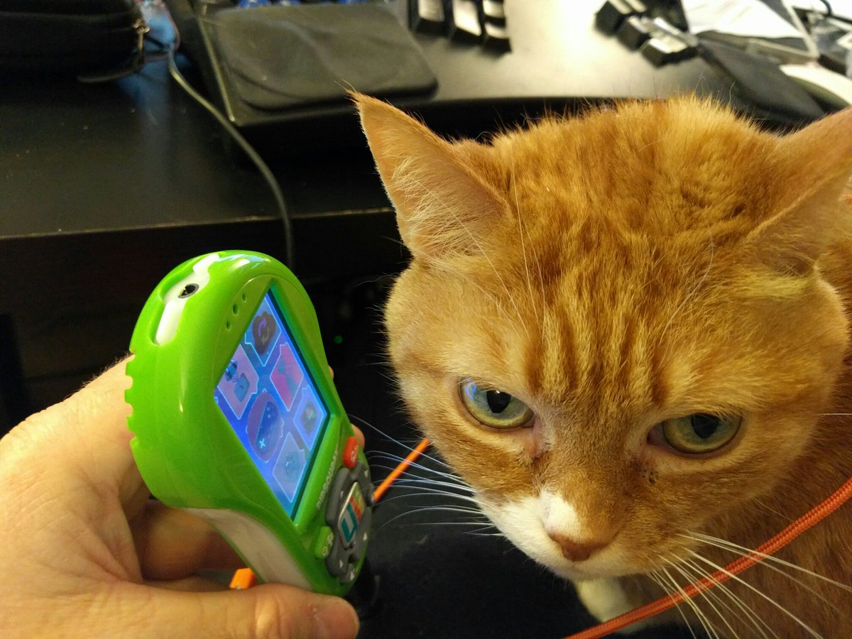 PurrProgramming's tweet image. Allie testing the new @Yip_Yap phone #purrprogramming