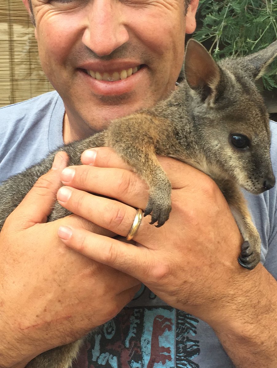 Exceptional Kangaroo Island tweet media