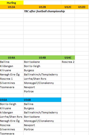 Juvenile Hurling &amp; Football gradings for 2016
All football commences mid March