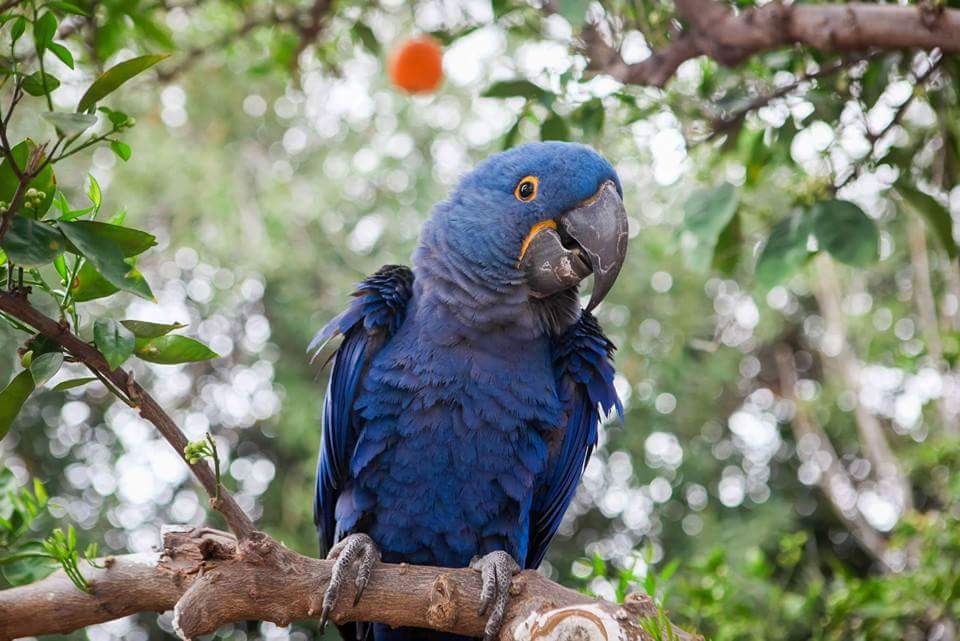 Loudspeaker-وڈاسپیکر🇵🇰 (@jawadhsumra) on Twitter photo 