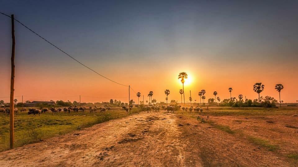 PenhTuk's tweet photo. This is Cambodia view, if you visit Cambodia don't forget my Tuk-Tuk. https://t.co/1EtZZUUA7P