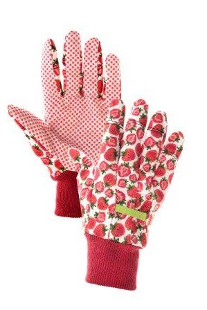 KIXXsafety's tweet photo. Extra juicy.. het vernieuwde design van de Fruit Line https://t.co/IHjeU8GCur https://t.co/AIzwJHM2h9