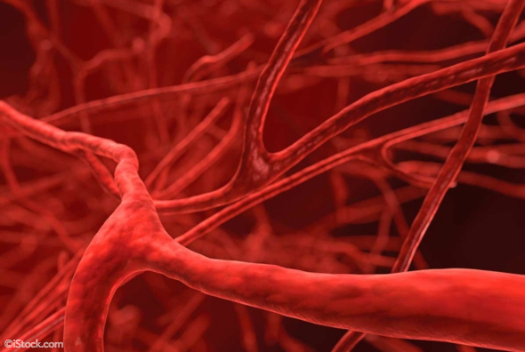 sciam's tweet photo. Magnetically-guided gene therapy heals blood vessels https://t.co/WHo5116KLh https://t.co/3Ryimn10rJ