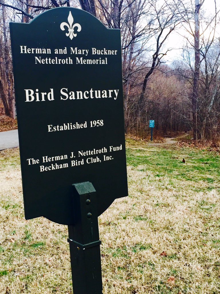kassi_Girl20's tweet photo. Great #birdwatching @OlmstedParks502 #scenicloop #Louisville #ky #birds #morningrun #cherokee #park https://t.co/4fbEXqDkOT