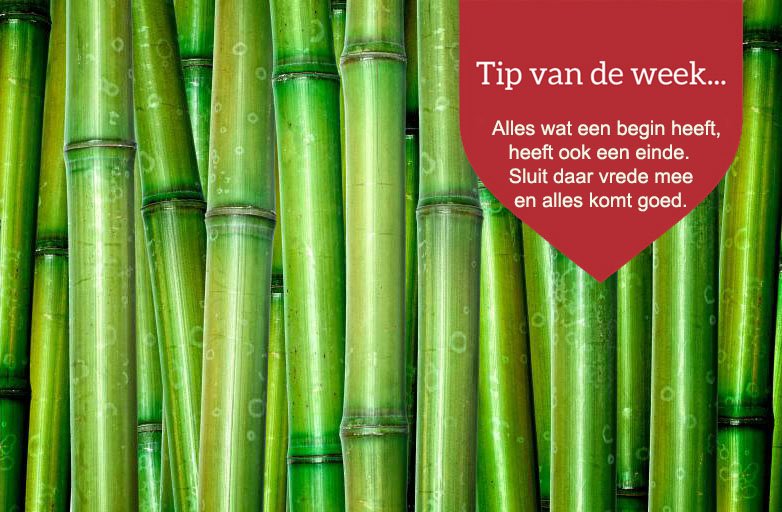 De Boeddhaspecialist (@boeddhaspecial) on Twitter photo 
