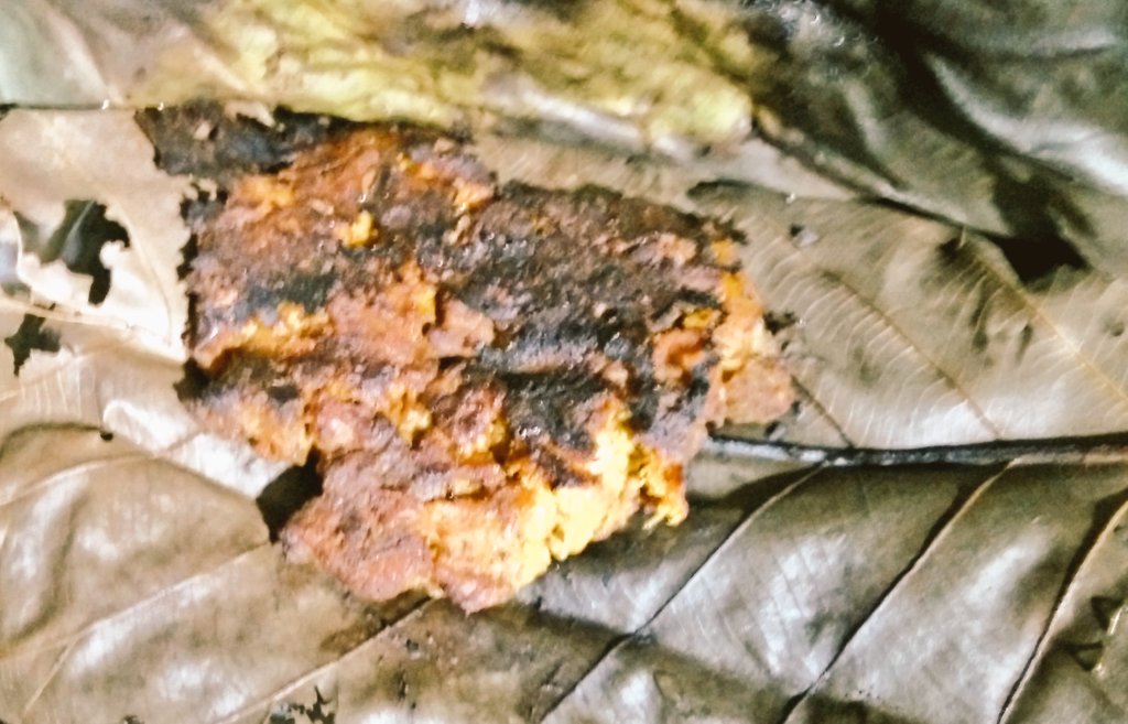 sambit_dash's tweet photo. This is mutton! #patrapodamaansa #burntwithleaf #muttonbarbeque #foodgasm #odiafood #delicacy #salleaf #khaasimaansa https://t.co/4dLrMJJaeC