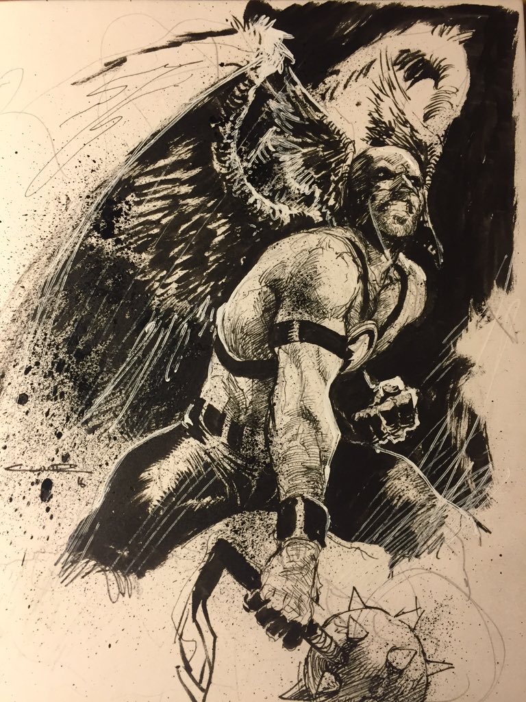 ycinar's tweet image. Hawkman!