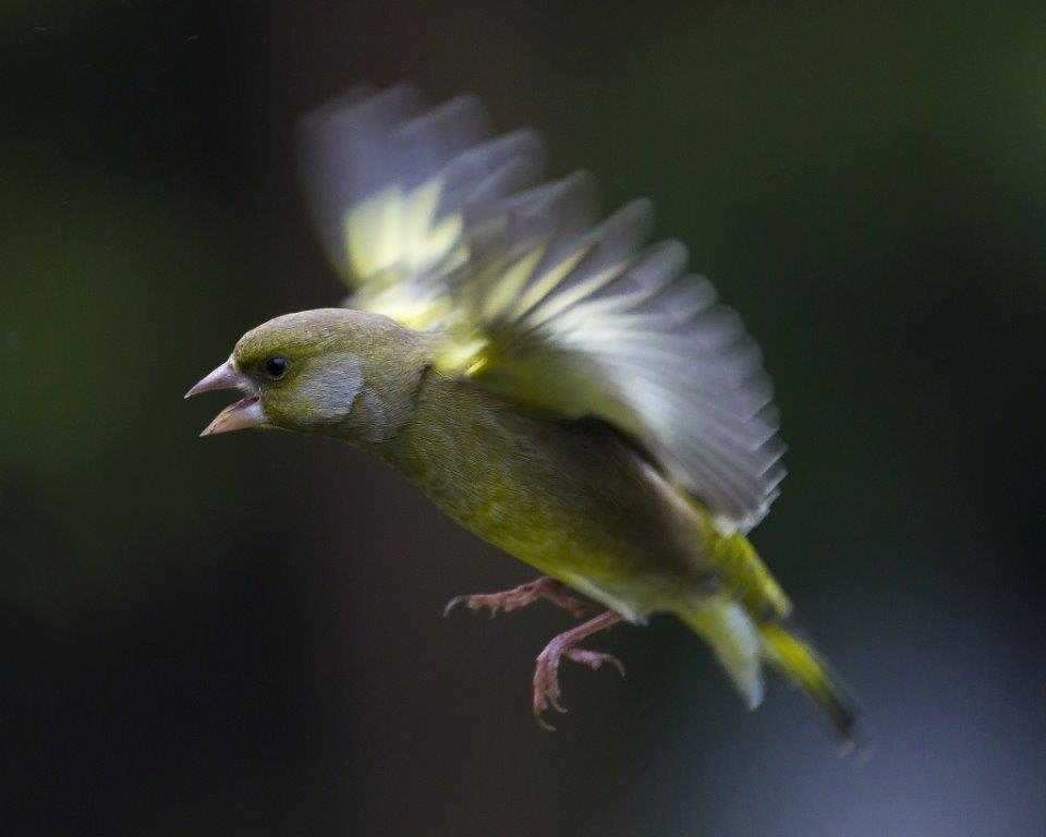 Natural England tweet media