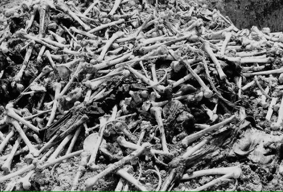 PenhTuk's tweet photo. Killing Field Phnom Penh, Cambodia is the place that Pol Pot killed Cambodian. https://t.co/aEUL6AHmIL
