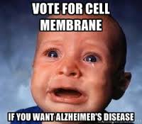 Cytoskeleton22's tweet image. @Cell_membrane77  #orgelection2016
