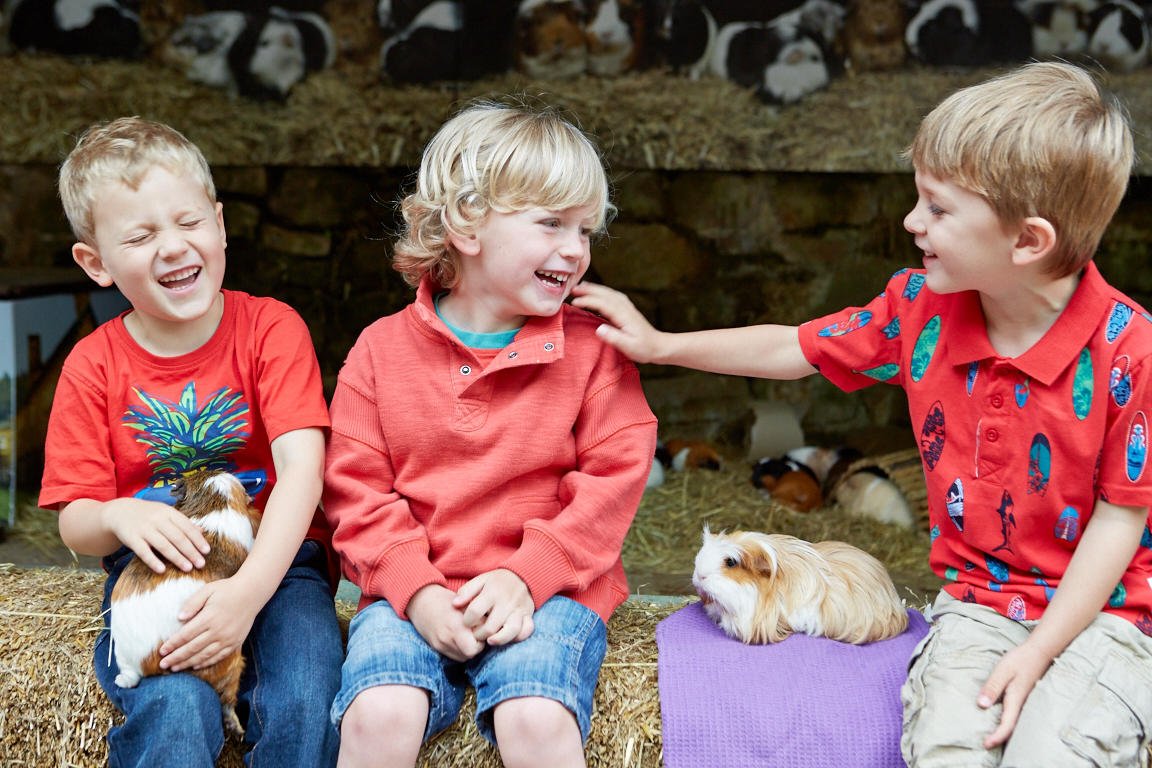 Join us this half term for superhero crafts and farmyard fun 6 - 21 February 2016. socsi.in/mYkna