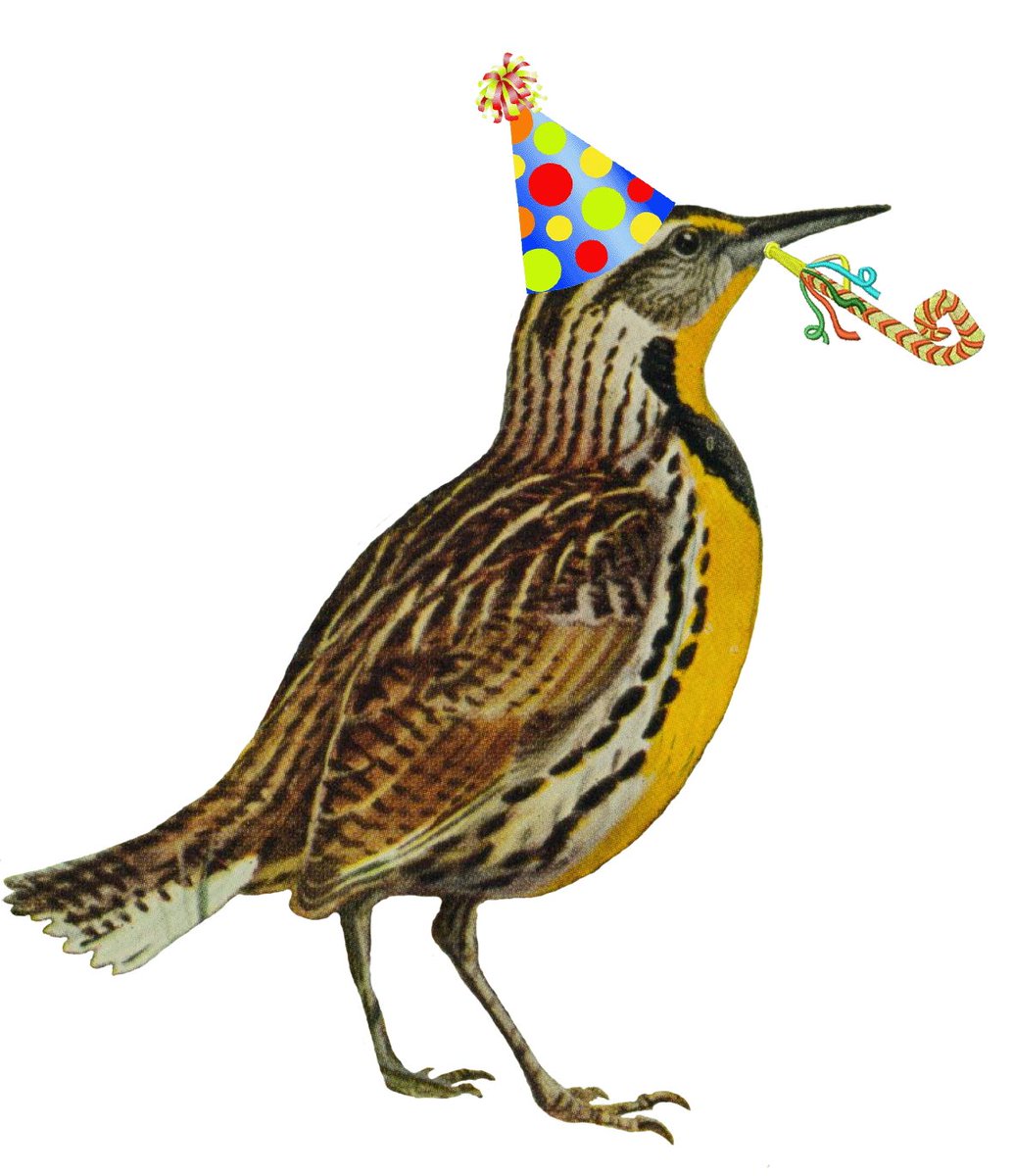 Jajo's tweet photo. Happy birthday, Kansas! Here's a party meadowlark in your honor. #KansasDay https://t.co/wBFfKPEjeW