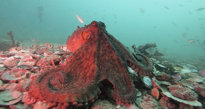 Science News tweet media