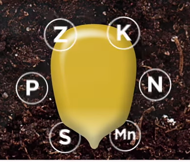 USuppliersInc's tweet photo. Just like we need nutrients to grow tall and healthy, so do our crops. #OptiStart #Starter https://t.co/BuiVzUWGXw