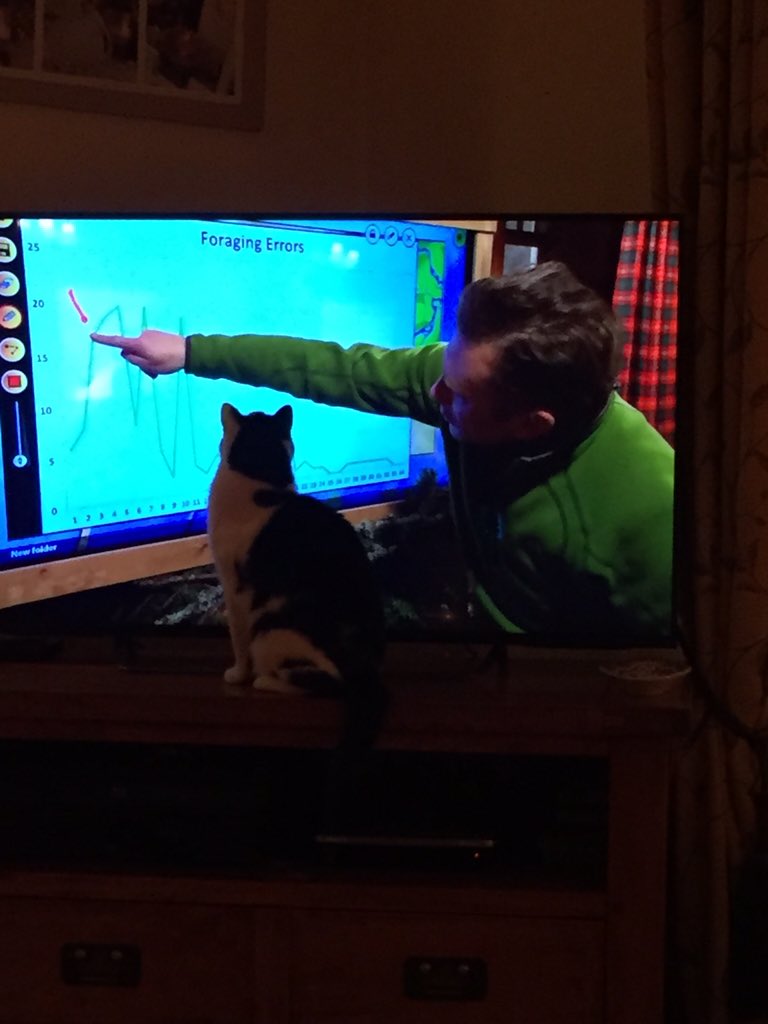 LynnePatrick2's tweet photo. #Winterwatch https://t.co/0Lz2GekCqi