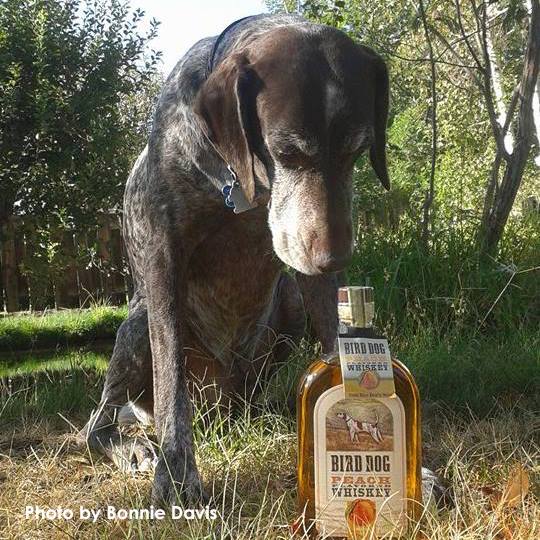 We have <a href="/birddogwhiskey/">Bird Dog Whiskey</a> in the building today, and it's quite the pawwty!