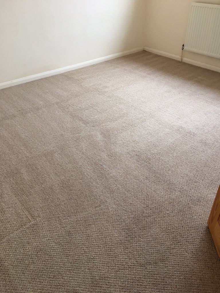 msucleaning tweet picture