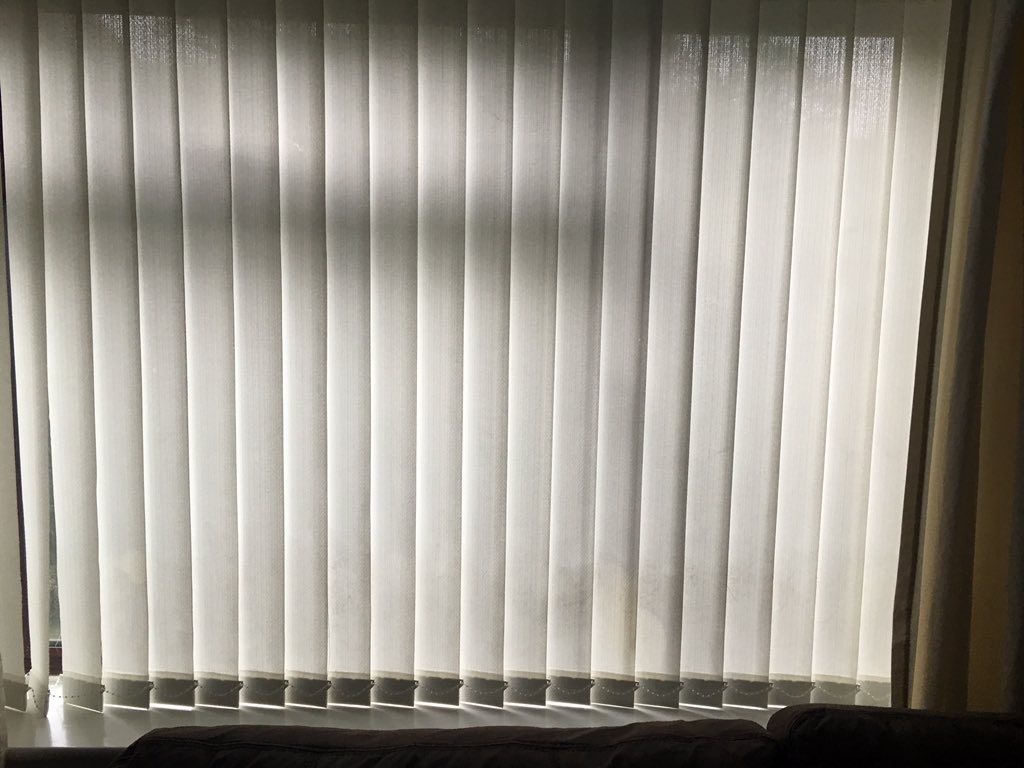 msucleaning tweet picture
