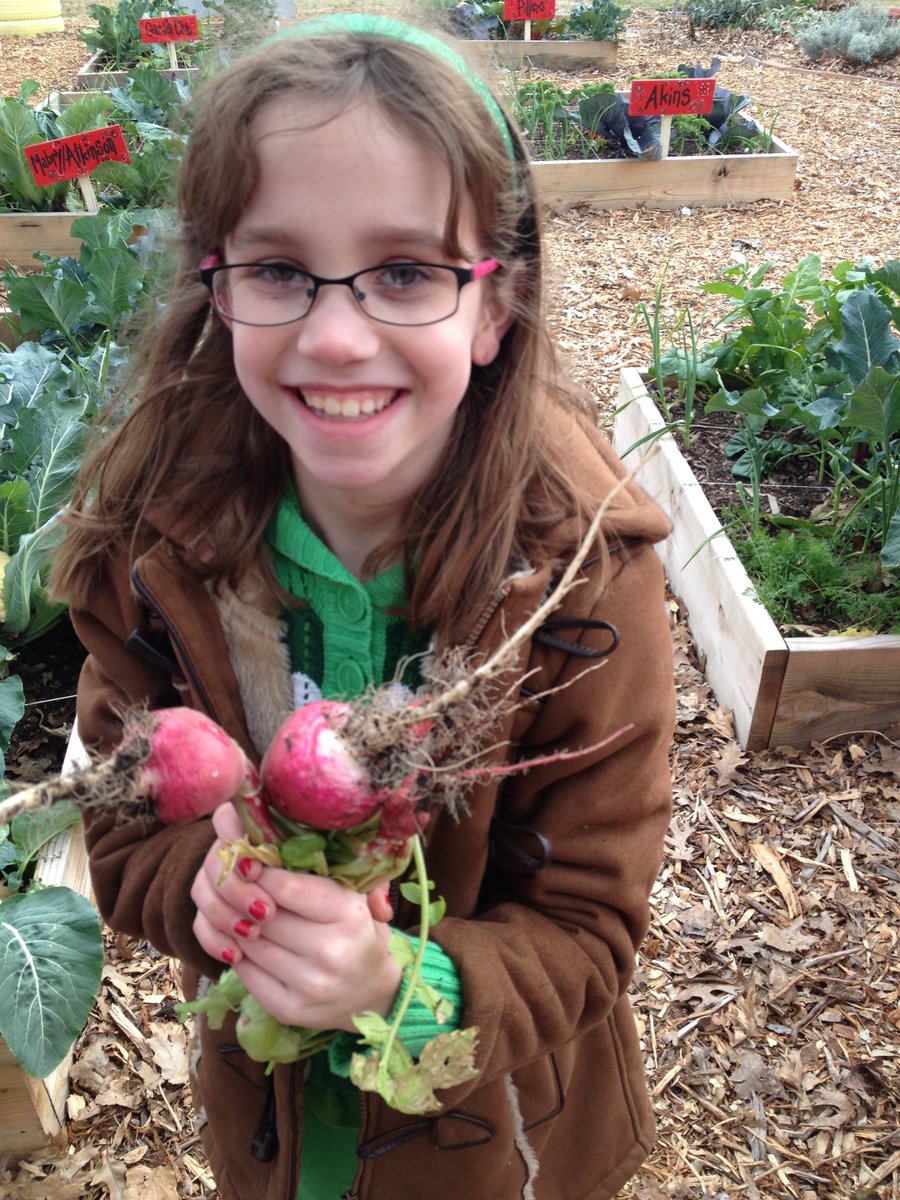 TheFarmer_Kim's tweet photo. A5: Grow a school garden @teachinggardens @WholeKidsFnd @SlowFoodUSA #foodfri If they grow it - they eat it! https://t.co/iwkX4Qx8Ug