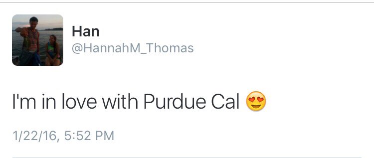 PNW Volleyball tweet media