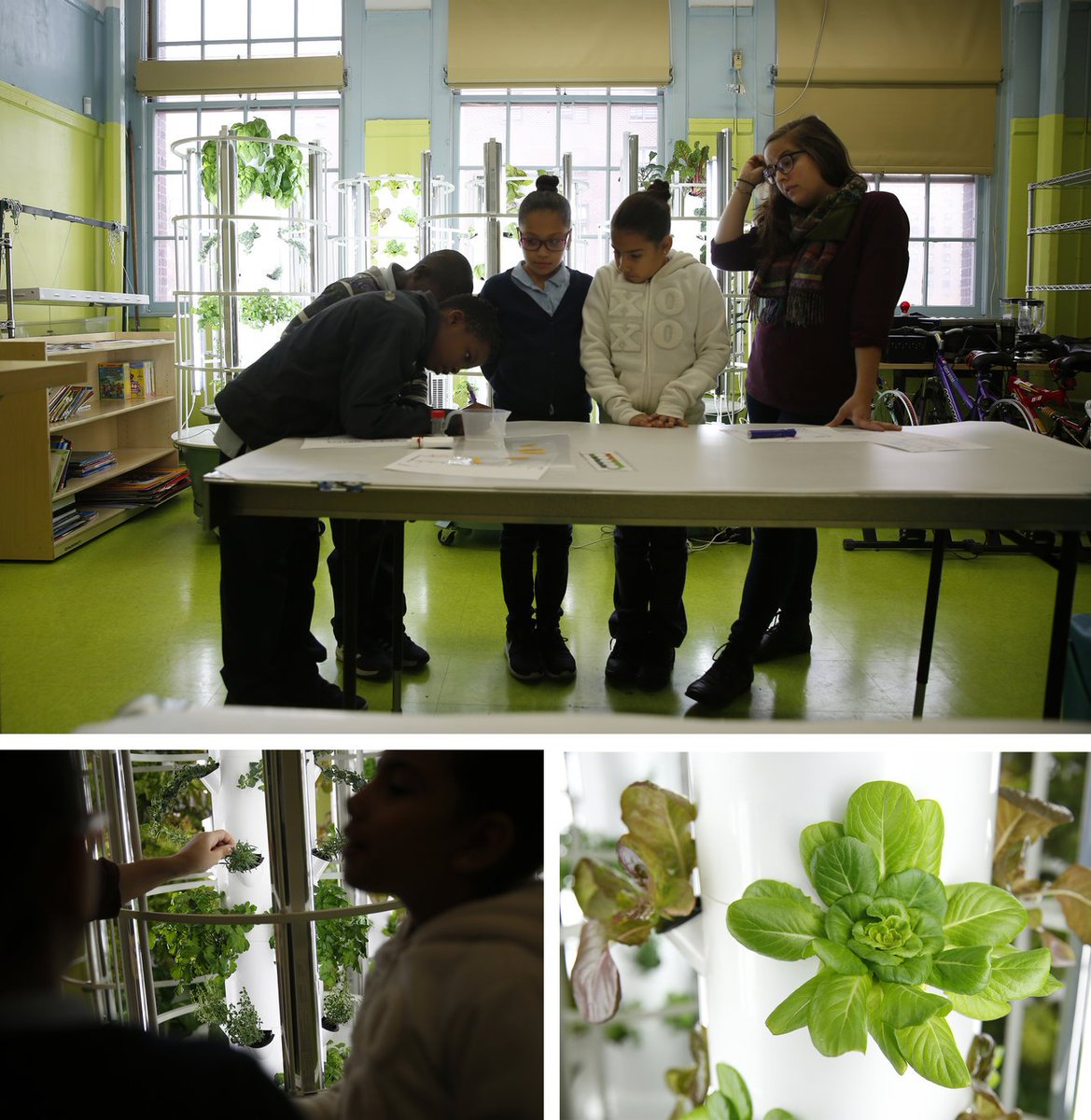 LVHelpGro's tweet photo. @greenBXmachine https://t.co/LTTlXQ7kiD #Greenloveconnection Creating Complex Ecosystem Healthier Lives @amerigroup https://t.co/0y4AFUZkmh