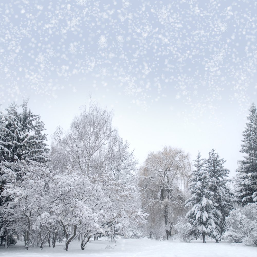 SweetwaterKOA's tweet photo. Is it snowing where you are? Send us your winter pictures and we’ll all think of summer camping together! https://t.co/DshBg5L7g9