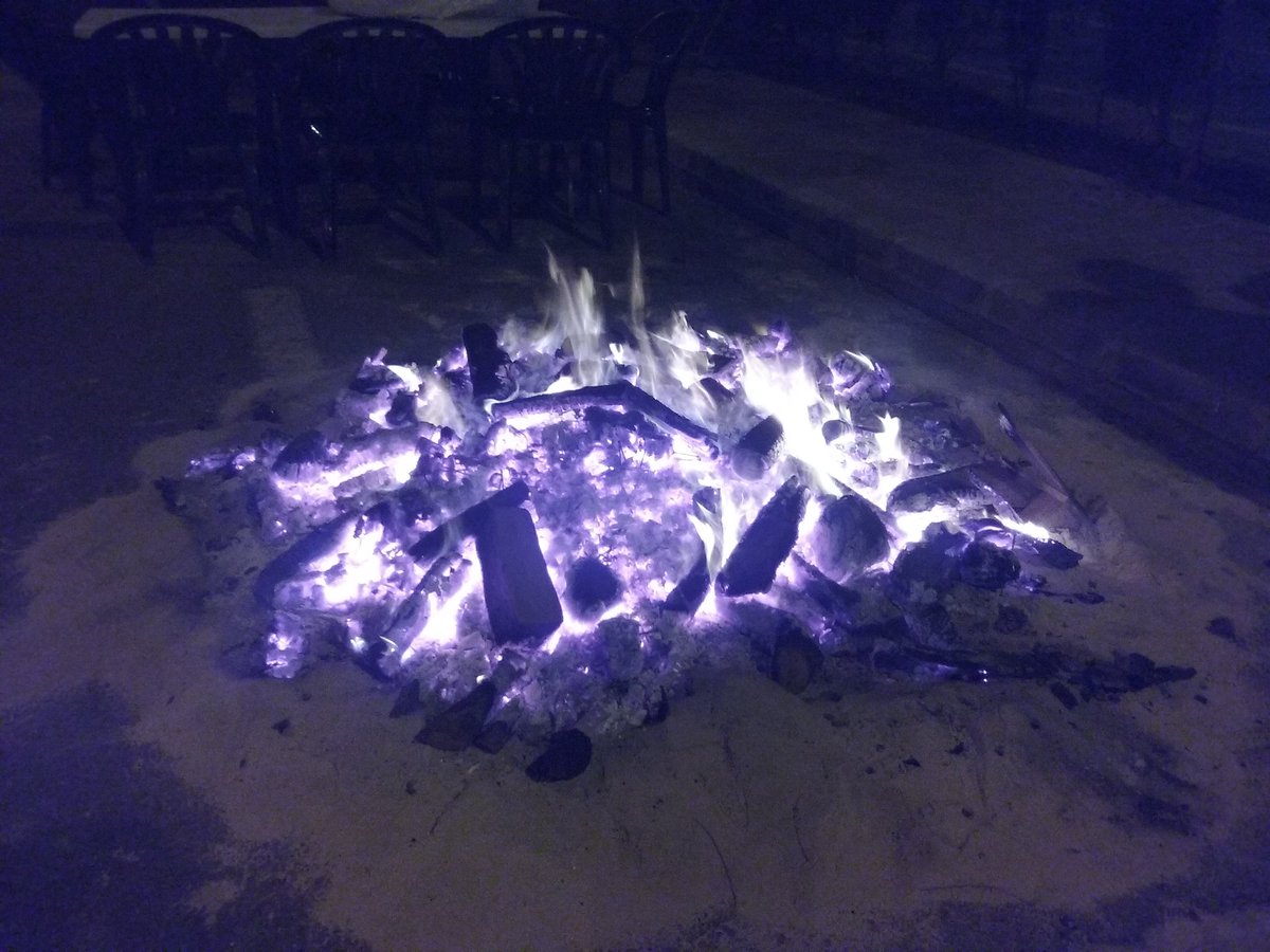 Ara, al barri de #CasCapiscol per celebrar #SantSebastià #PalmadeFesta <a href="/Neustru/">Neus Truyol Caimari</a>