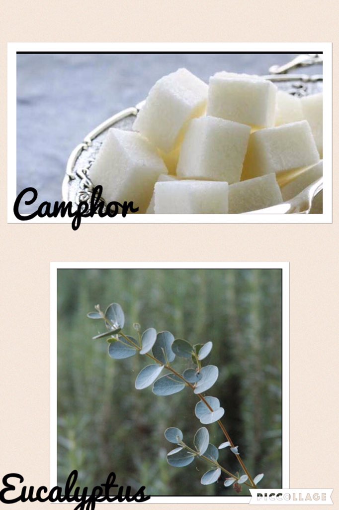 Core_Radiance's tweet image. Did you know the CR Detoxifying Shampoo contain camphor and eucalyptus?? All natural products,All the time!!!
