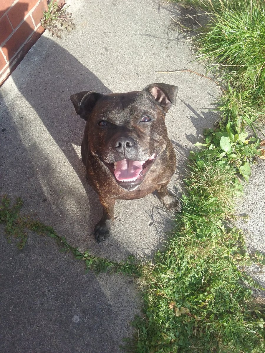 elaine end bsl sarg tweet media