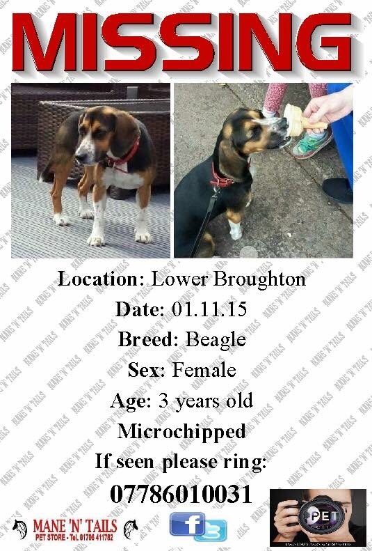 LisaLisaw1's tweet photo. Please RT #HelpFindBailey #MISSING 01/11/15 #LowerBroughton #Salford #Manchester @MENnewsdesk @bbcradiomanc https://t.co/JWWm0R4sGW