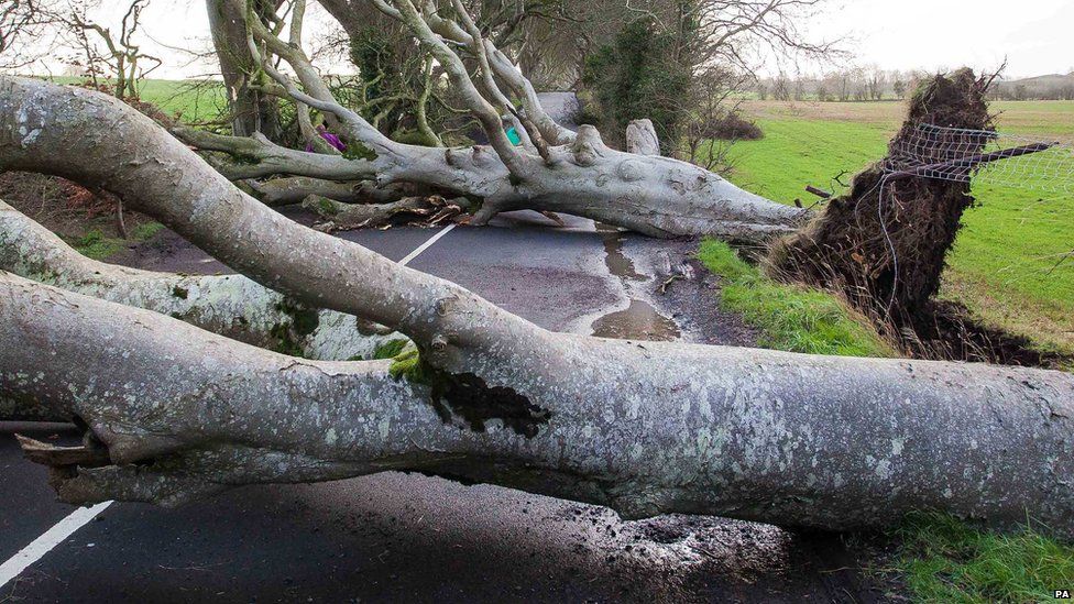 Fans of <a href="/GameOfThrones/">Game of Thrones</a> look away. #StormGertrude's hit the Dark Hedges (aka King's Landing) bbc.in/1PFtxFs