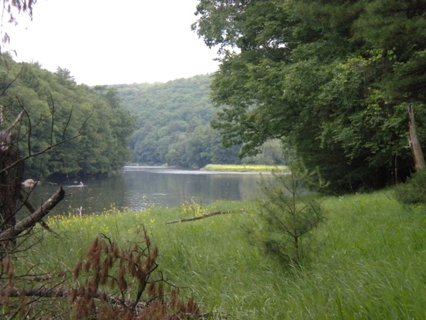 BrownBarkTree's tweet photo. Did you know the North Country Trail weaves over 90 miles through Clarion County? Walk them ALL over the course of … https://t.co/EfJoGXb7A3