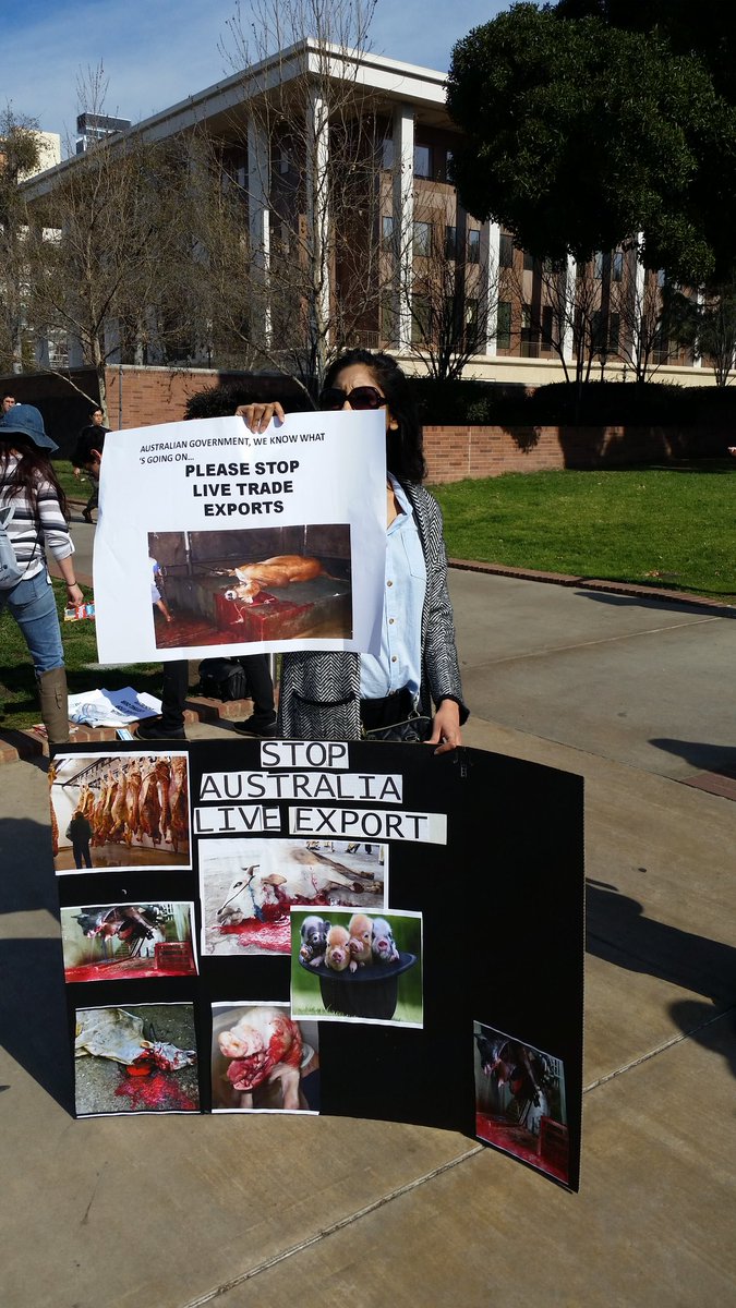 MsLolaKay's tweet image. .@UCLA endorses #livetrade by hosting a talk by Australia&apos;s  @JulieBishopMP #StopUsingAnimals #EndLiveExport