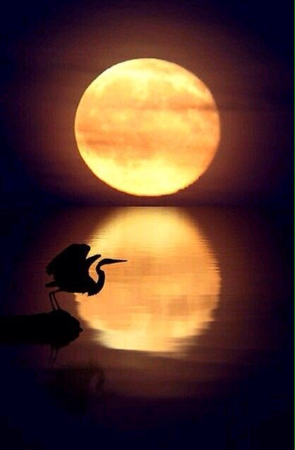 <a href="/AstronomyKerry/">KerryIDSR Astronomy</a> RT