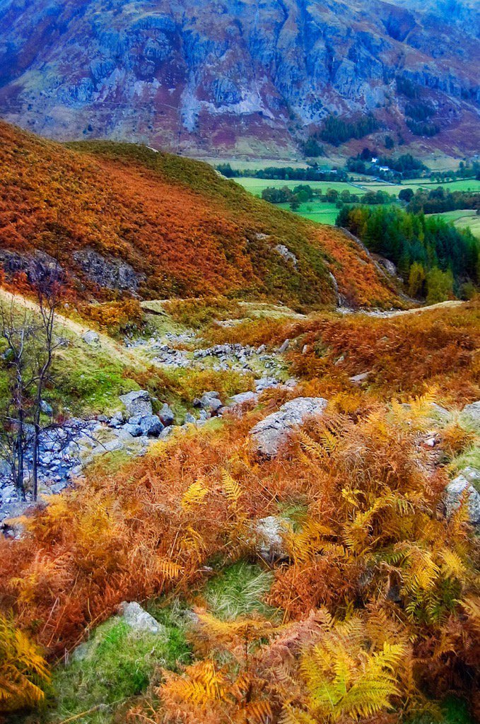AlexanderLeics's tweet image. Gorgeous Cumbrian colours

#Cumbria #LakeDistrict #England