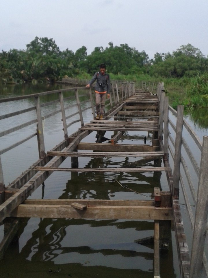 KPBNectarinia's tweet image. totalitas dari bang @Oenjaelani saat pengamatan berlangsung di SMM Angke