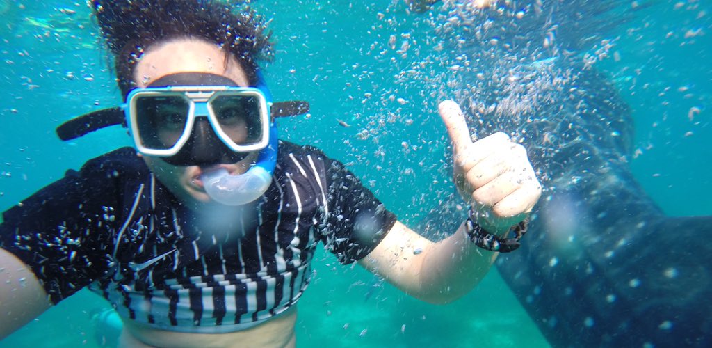 abesamismark's tweet photo. Swimming with this gentle giants "whale sharks" 🐋🐋🐋 is a bit scary at first but totally awesome! ☺️😁 #CebuHits https://t.co/Mo0jSeYyO1